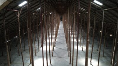 Photo of the Stick Shed from high up inside